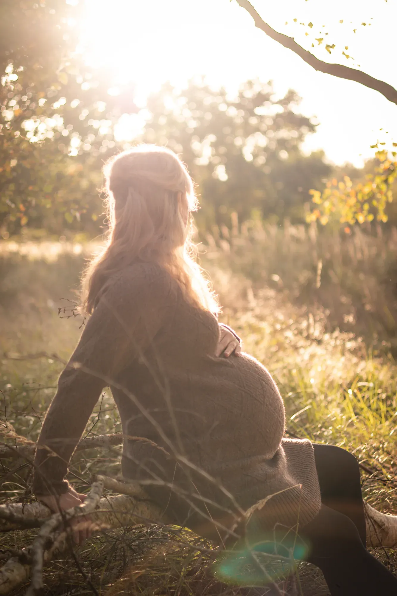 Schwangere sitzt im herbstlichen Gegenlicht, die Hand am Babybauch