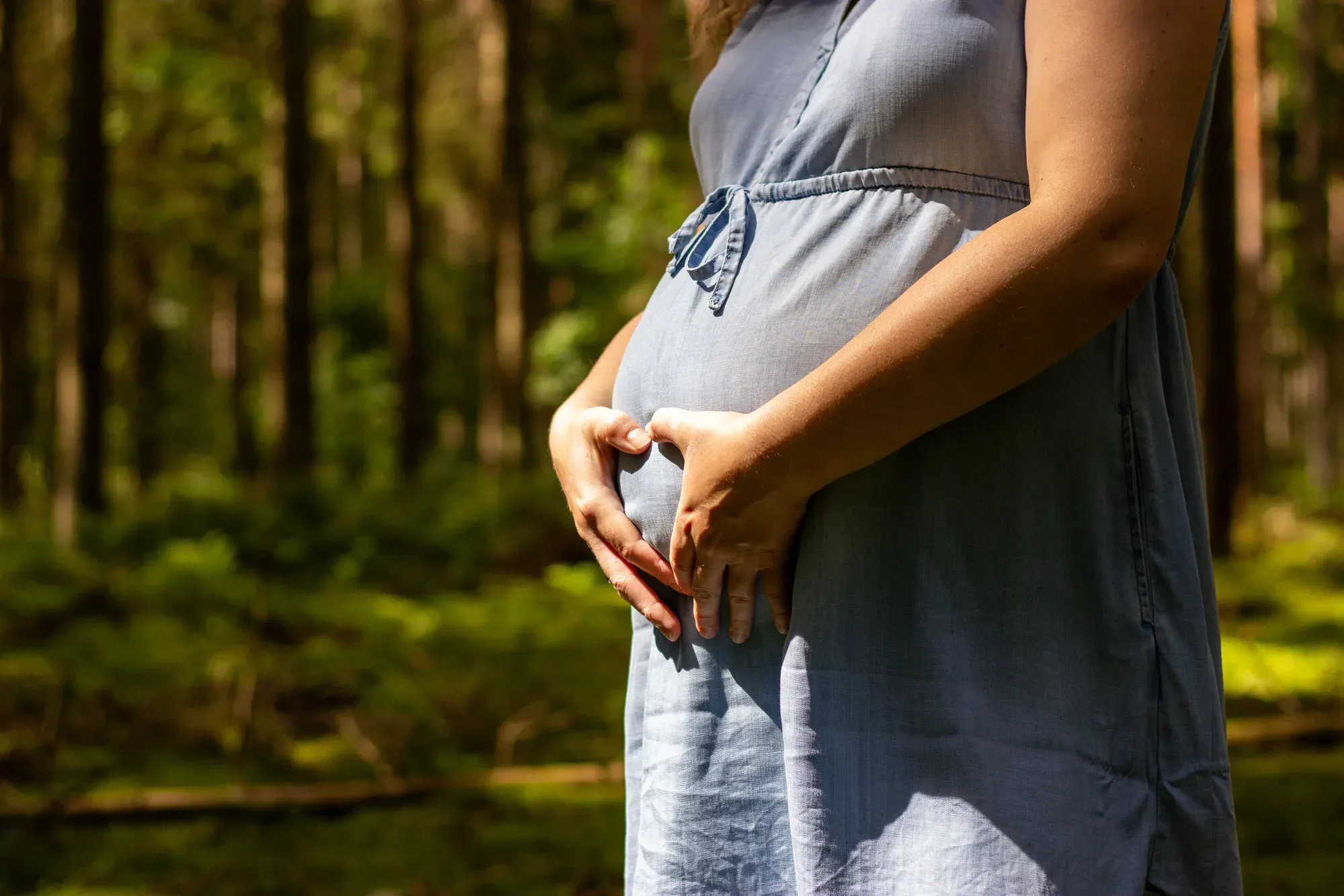 Schwangere im Wald formt mit den Händen ein Herz am Babybauch