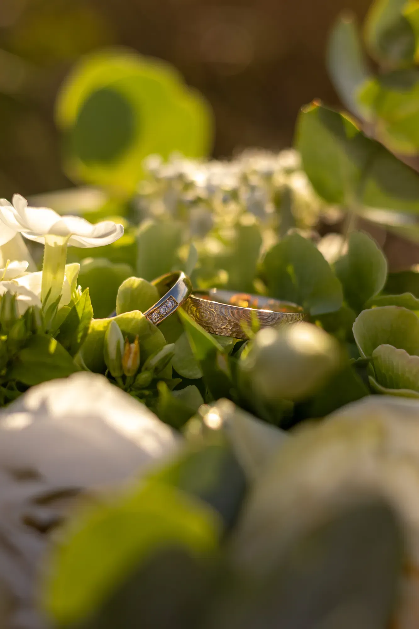 Eheringe liegen zwischen weißen Blüten und grünen Blättern