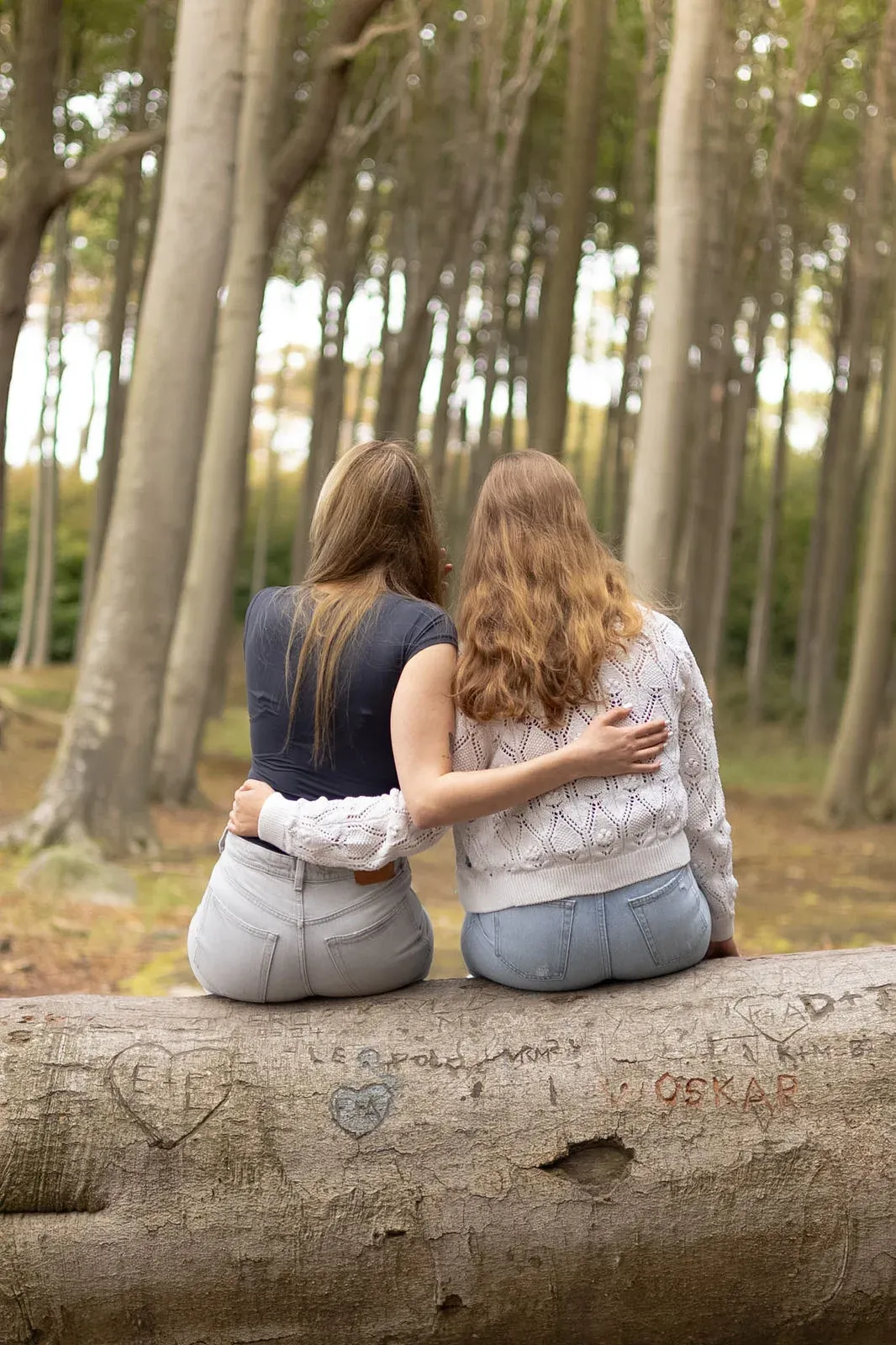 Zwei Frauen sitzen im Arm auf einem Baumstamm im Wald