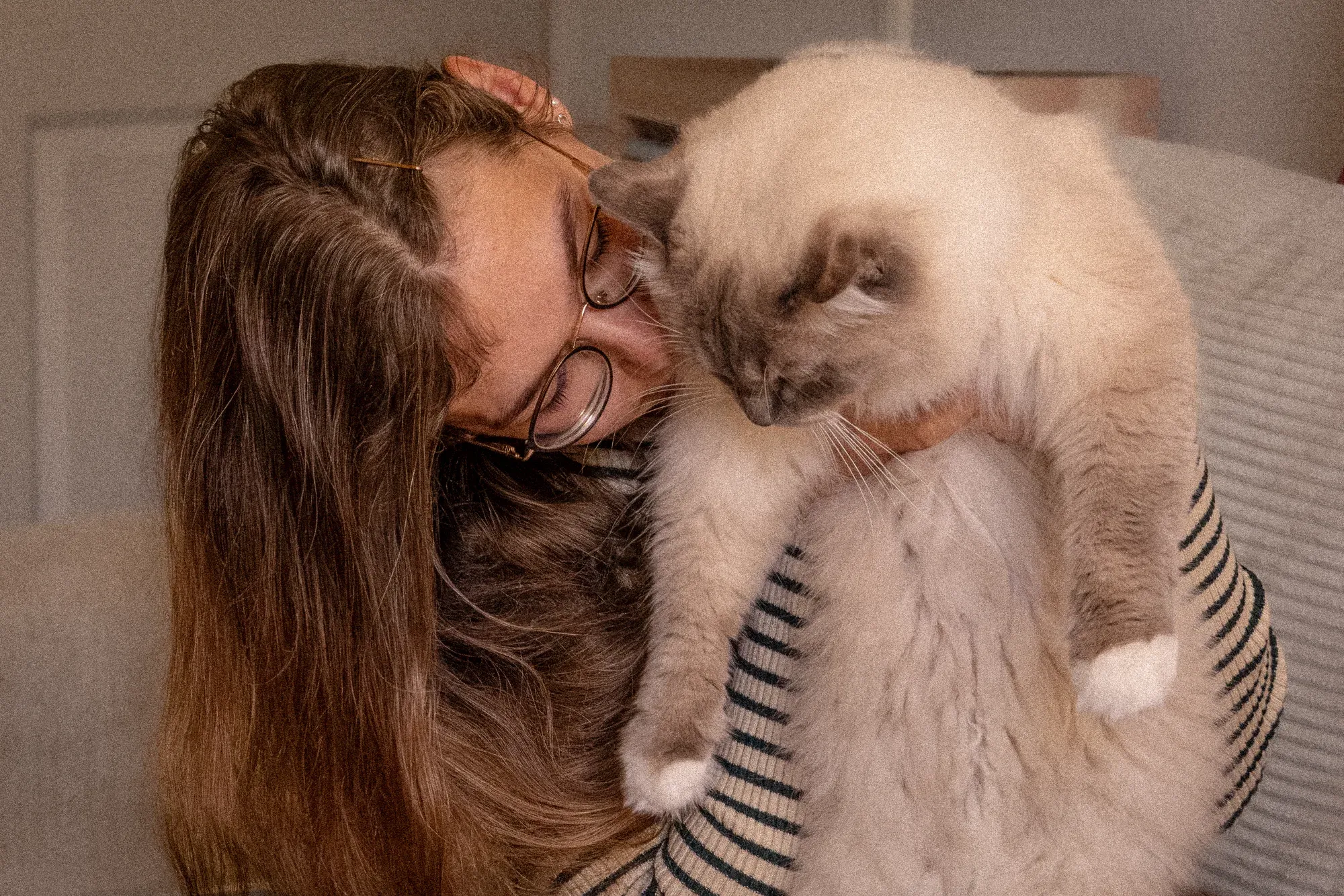 Frau mit Brille kuschelt ihr Gesicht an eine flauschige Katze